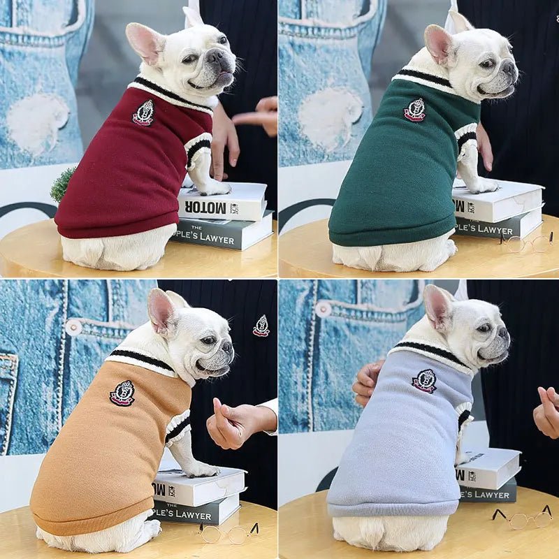 College Style V - Neck Sweater - PetLiveliest - PetLiveliest
