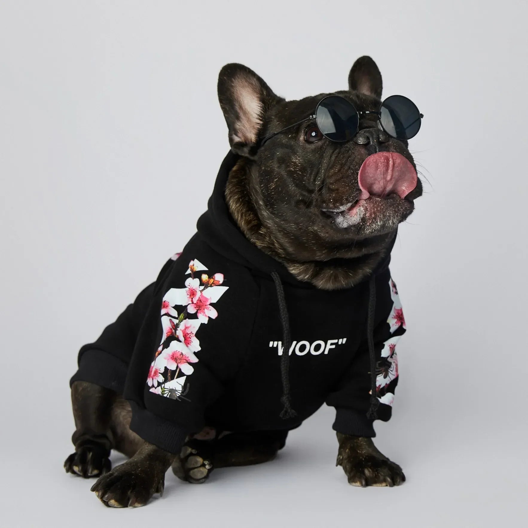 Winter Sakura Dog Hoodie - PetLiveliest - PetLiveliest