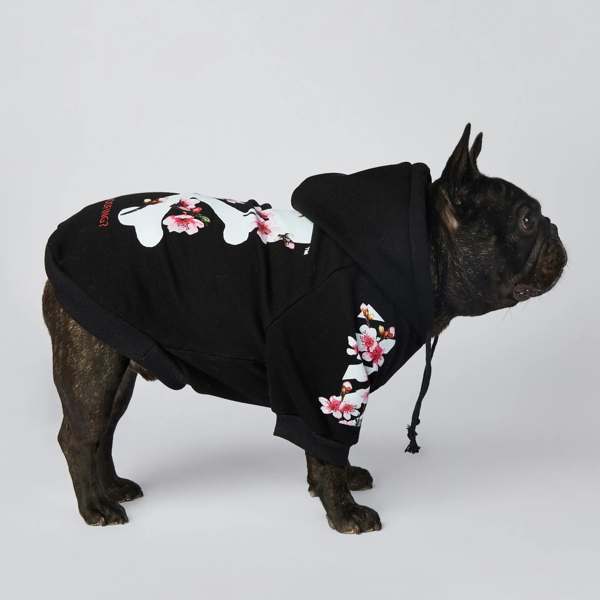 Winter Sakura Dog Hoodie - PetLiveliest - PetLiveliest