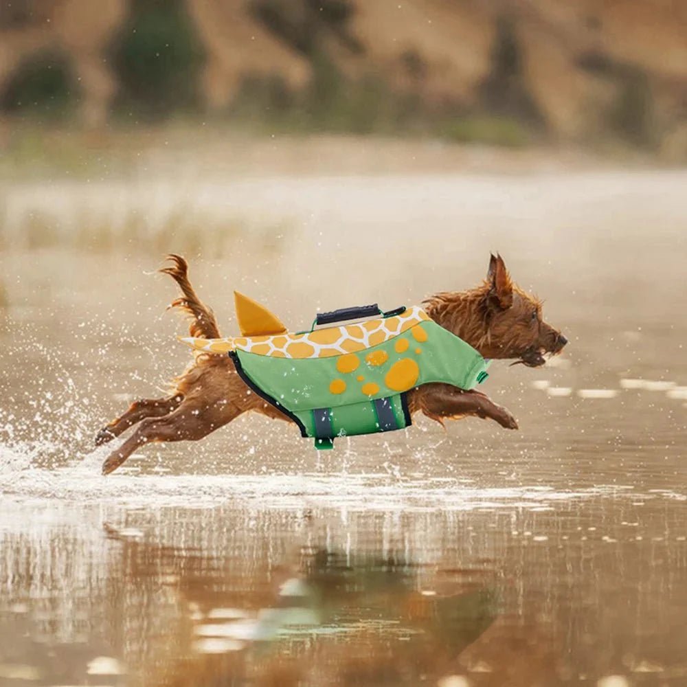 My Experience with the Reflective Summer Dog Life Vest Jacket - PetLiveliest
