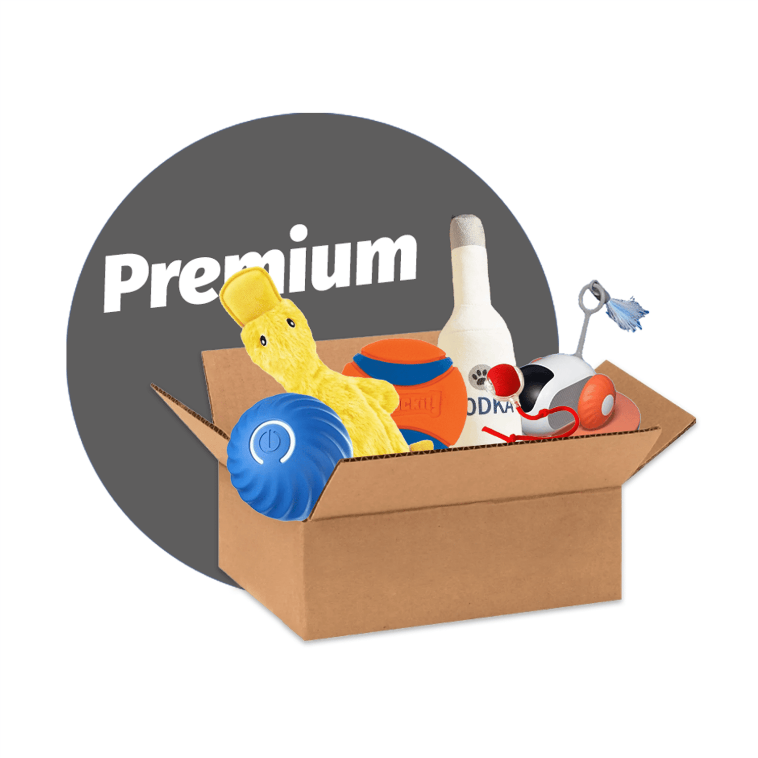 Unbox the Fun: Discover the Mystery Toy Box and Bring Endless Surprises to Your Pet! - PetLiveliest