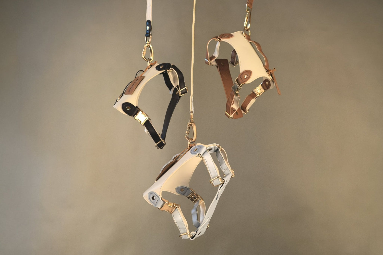 Unleashing Elegance: The Story Behind the Eques Harness - PetLiveliest