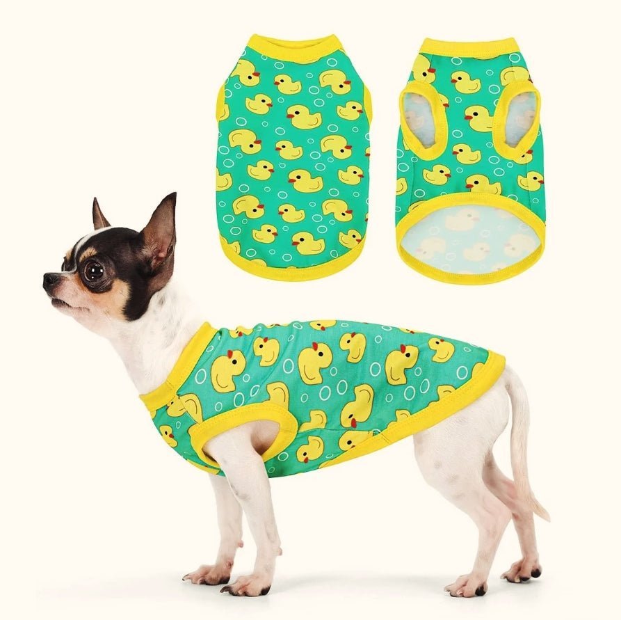What does a dog wear when it is hot? - PetLiveliest