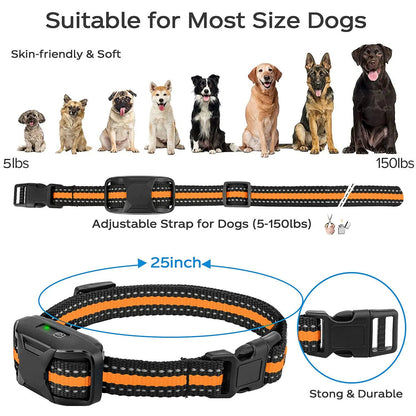 3300Ft Dog Training Collar with Remote Rechargeable Waterproof E Collar Beep Vibration Shock High Quality Pet Training - PetLiveliest - PetLiveliest