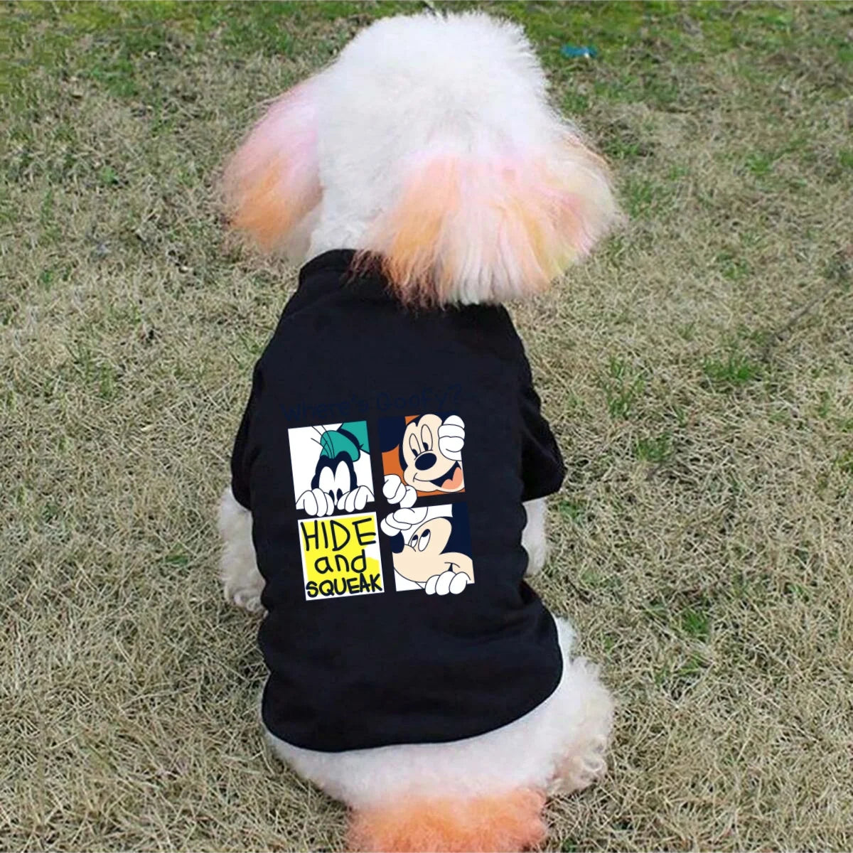 Sd6c09fa74d9e4941801f51f8f88ae8d2K