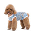 Anti - Licking Diaper Sanitary Panties Jumpsuit - PetLiveliest - PetLiveliest