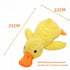 Plush Crinkle Dog Toy - PetLiveliest - PetLiveliest