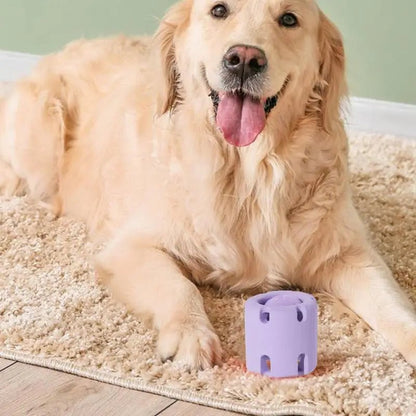 Bite - Resistant Tennis Tumble Dog Toy - PetLiveliest - PetLiveliest