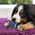 Bite - Resistant Tennis Tumble Dog Toy - PetLiveliest - PetLiveliest