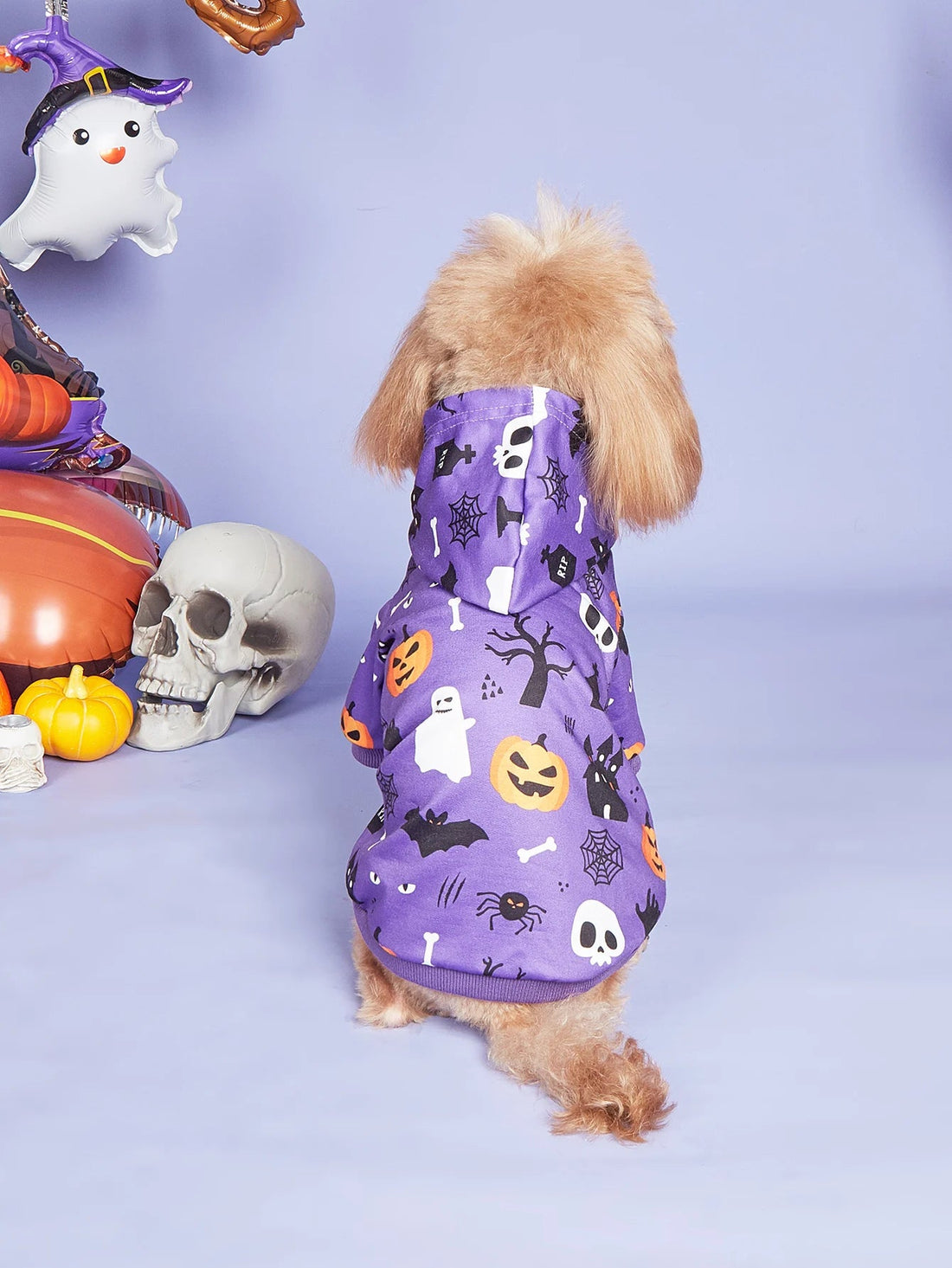 Cozy Halloween Pet Costumes for Small Dogs - PetLiveliest - PetLiveliest