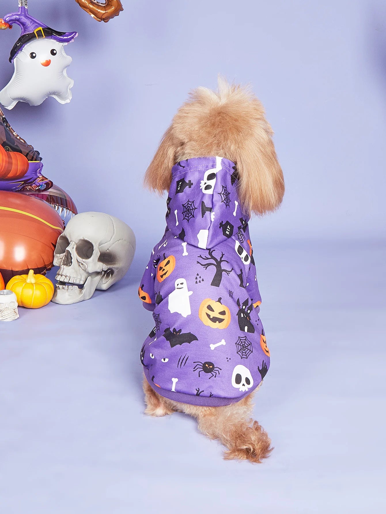 Cozy Halloween Pet Costumes for Small Dogs - PetLiveliest - PetLiveliest