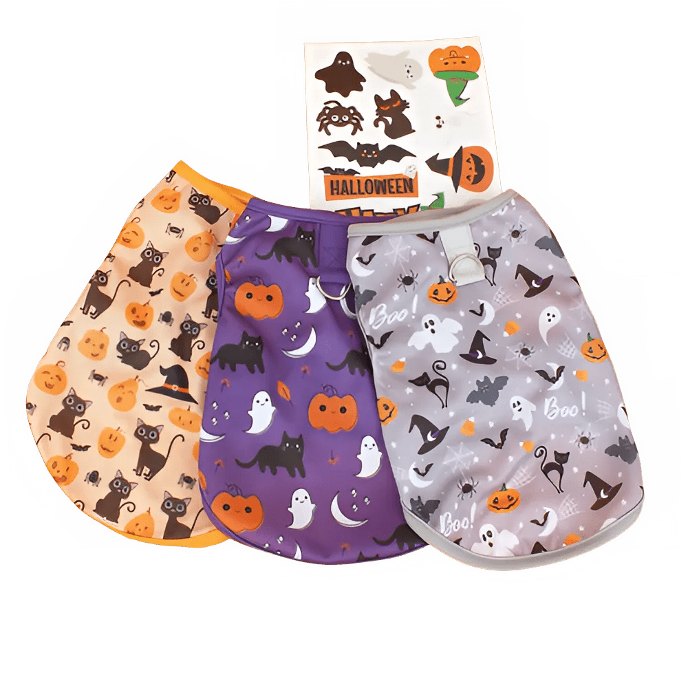 Cute Dog Costumes for Small Pets - PetLiveliest - PetLiveliest