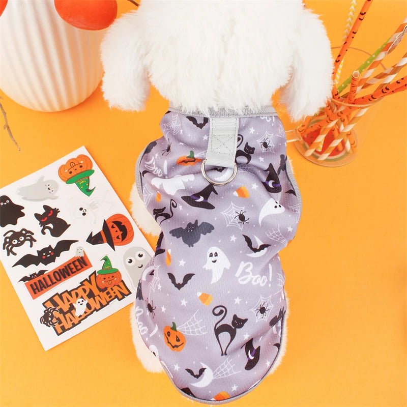 Cute Dog Costumes for Small Pets - PetLiveliest - PetLiveliest