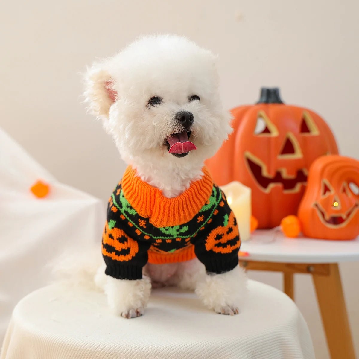 Cute Pumpkin Halloween Sweater for Pets - PetLiveliest - PetLiveliest