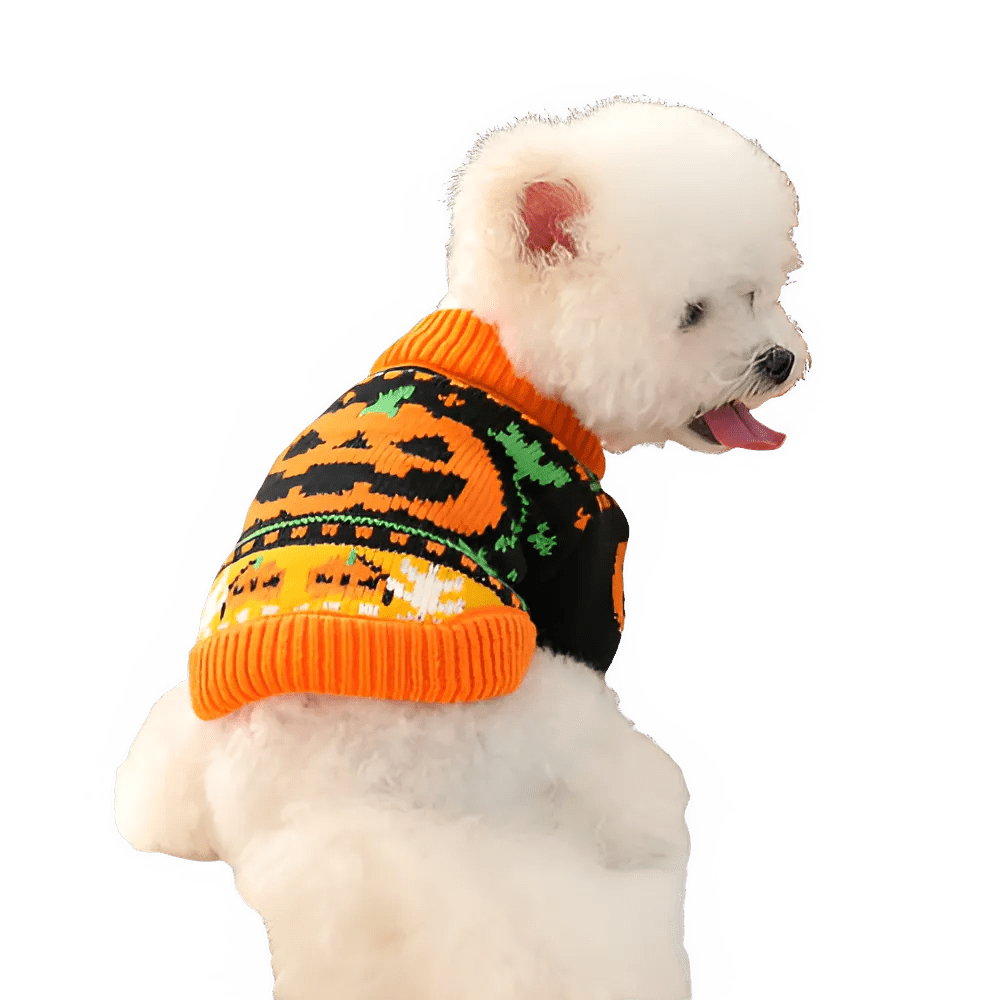 Cute Pumpkin Halloween Sweater for Pets - PetLiveliest - PetLiveliest