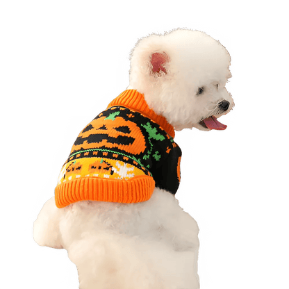 Cute Pumpkin Halloween Sweater for Pets - PetLiveliest - PetLiveliest
