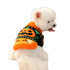 Cute Pumpkin Halloween Sweater for Pets - PetLiveliest - PetLiveliest