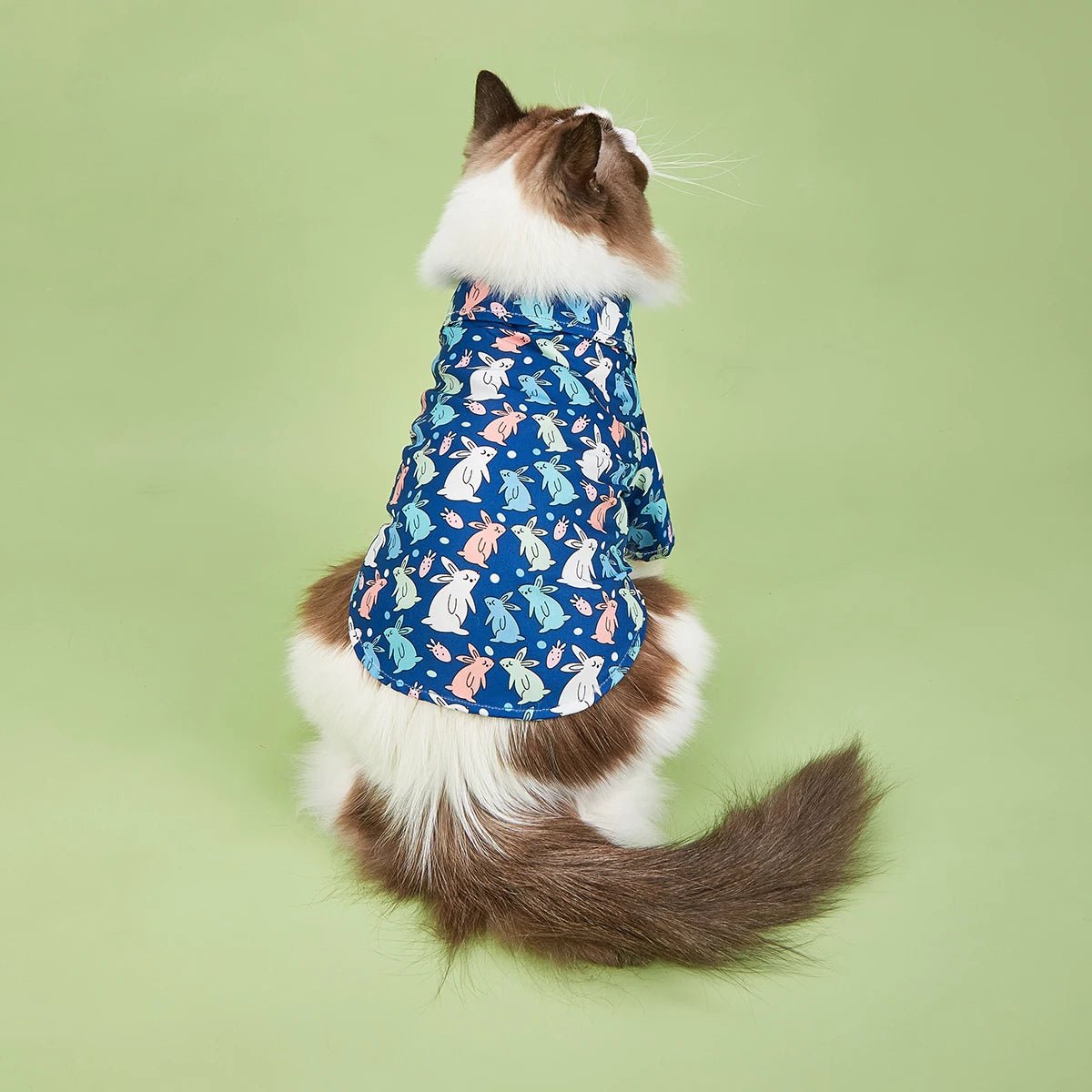 Easter Specials - Rabbit Printed Dog Shirt - PetLiveliest - PetLiveliest