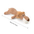 Squeaky Plush Dog Toy - PetLiveliest - PetLiveliest