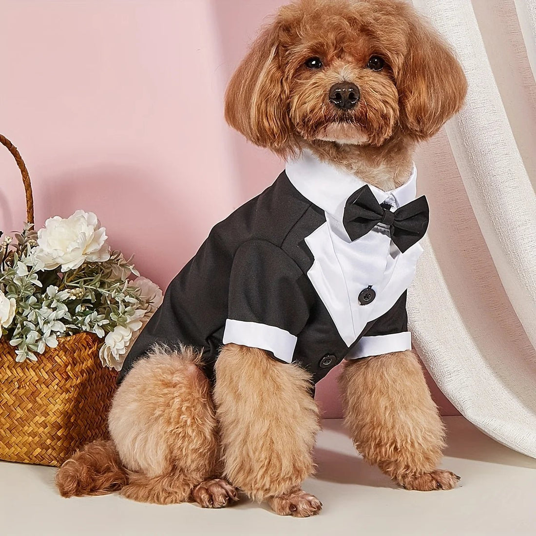 Dog Suit Shirt With Bow Tie - PetLiveliest - PetLiveliest