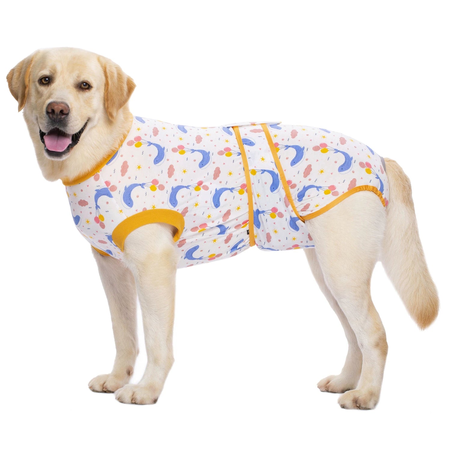 Dog Surgery Recovery Suit - PetLiveliest - PetLiveliest