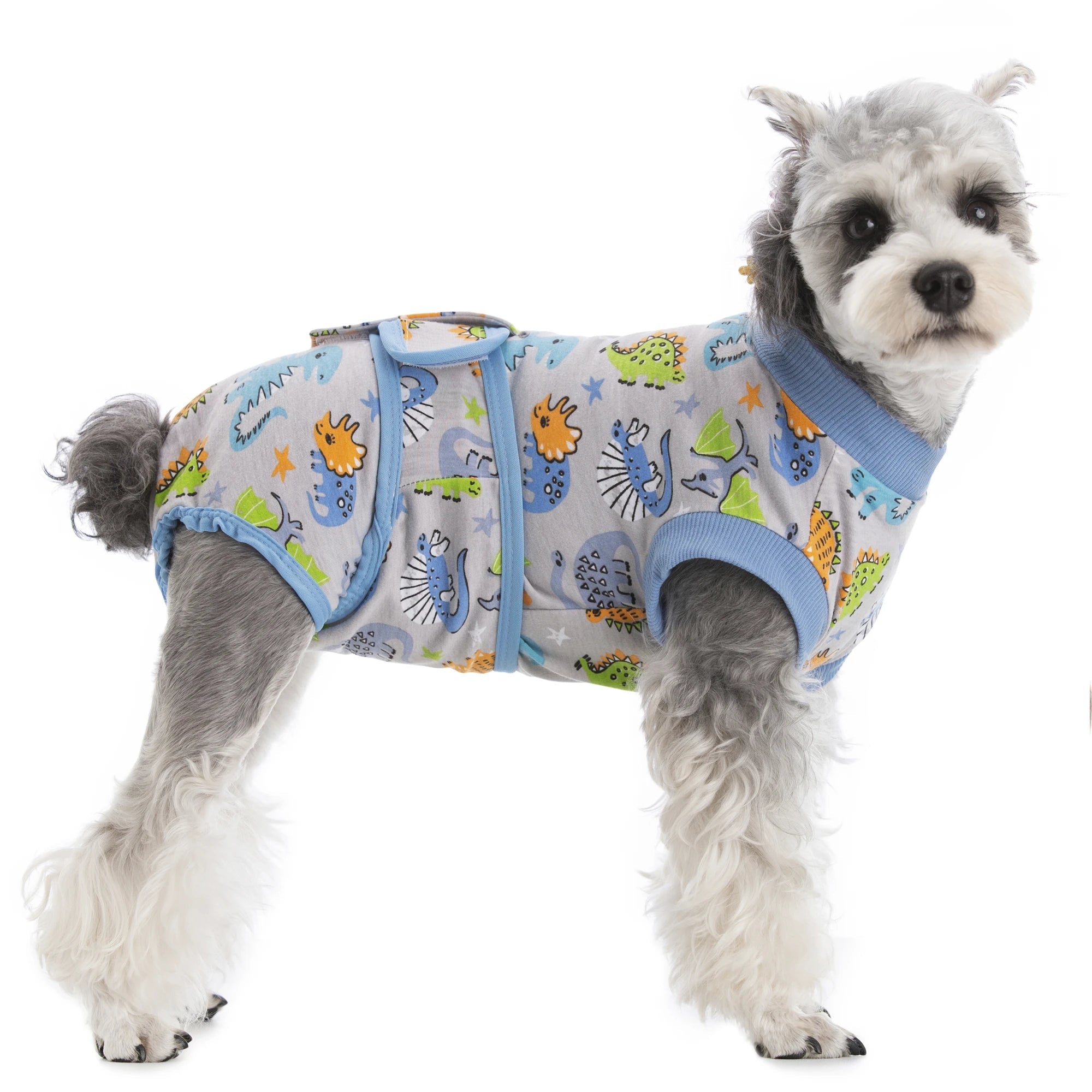 Dog Surgery Recovery Suit - PetLiveliest - PetLiveliest