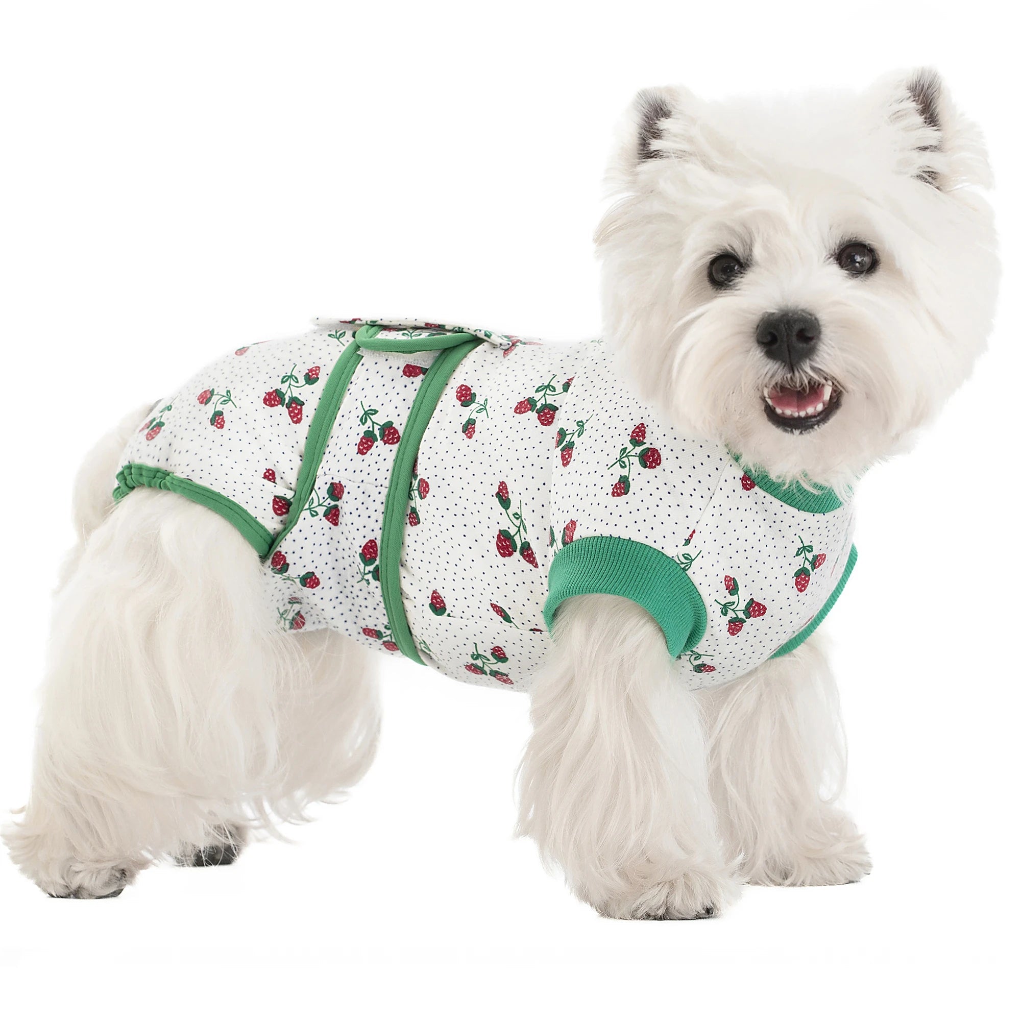 Dog Surgery Recovery Suit - PetLiveliest - PetLiveliest