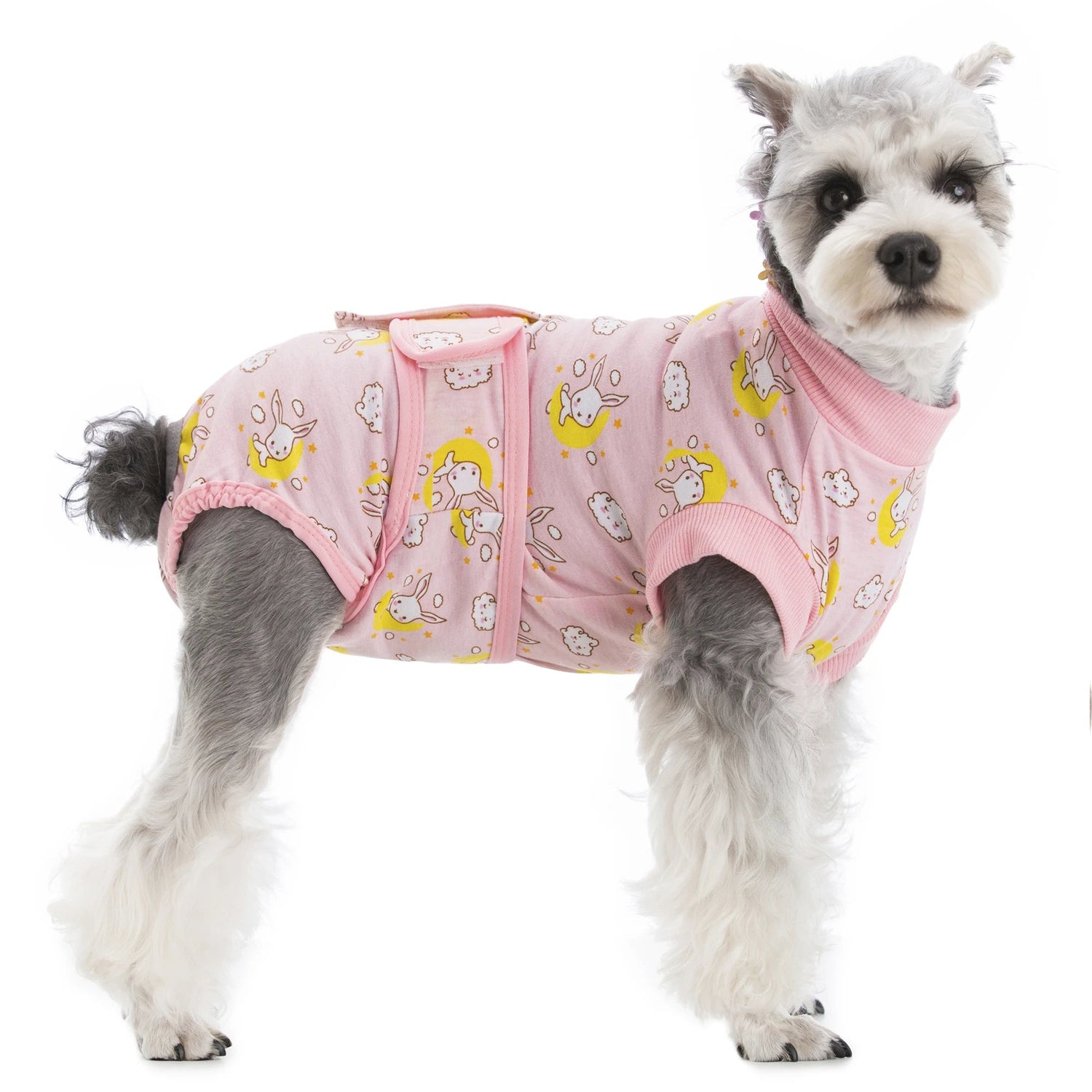 Dog Surgery Recovery Suit - PetLiveliest - PetLiveliest