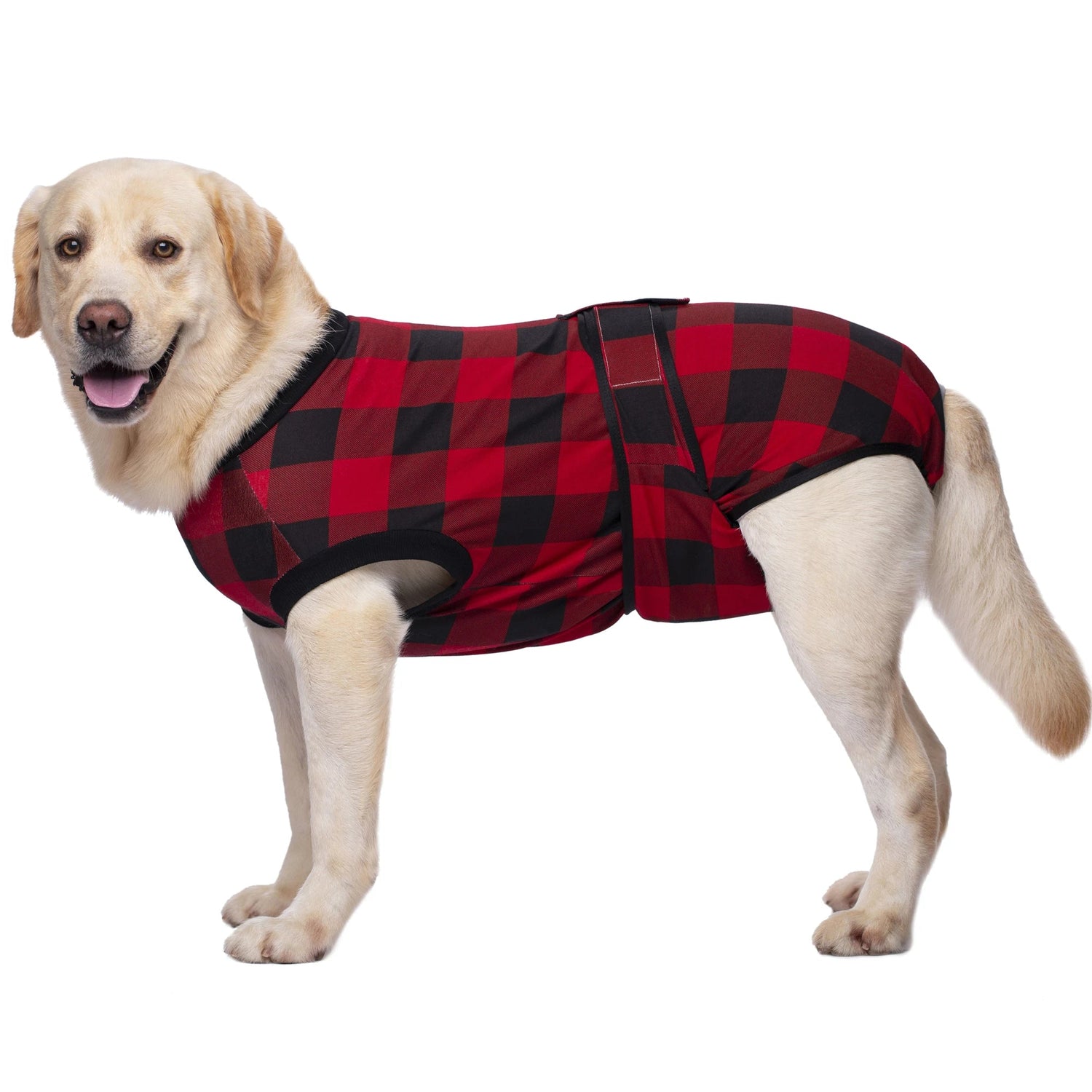 Dog Surgery Recovery Suit - PetLiveliest - PetLiveliest