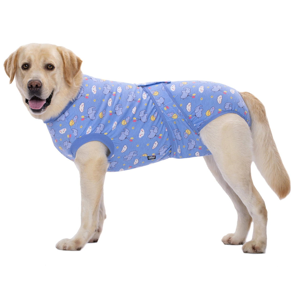 Dog Surgery Recovery Suit - PetLiveliest - PetLiveliest