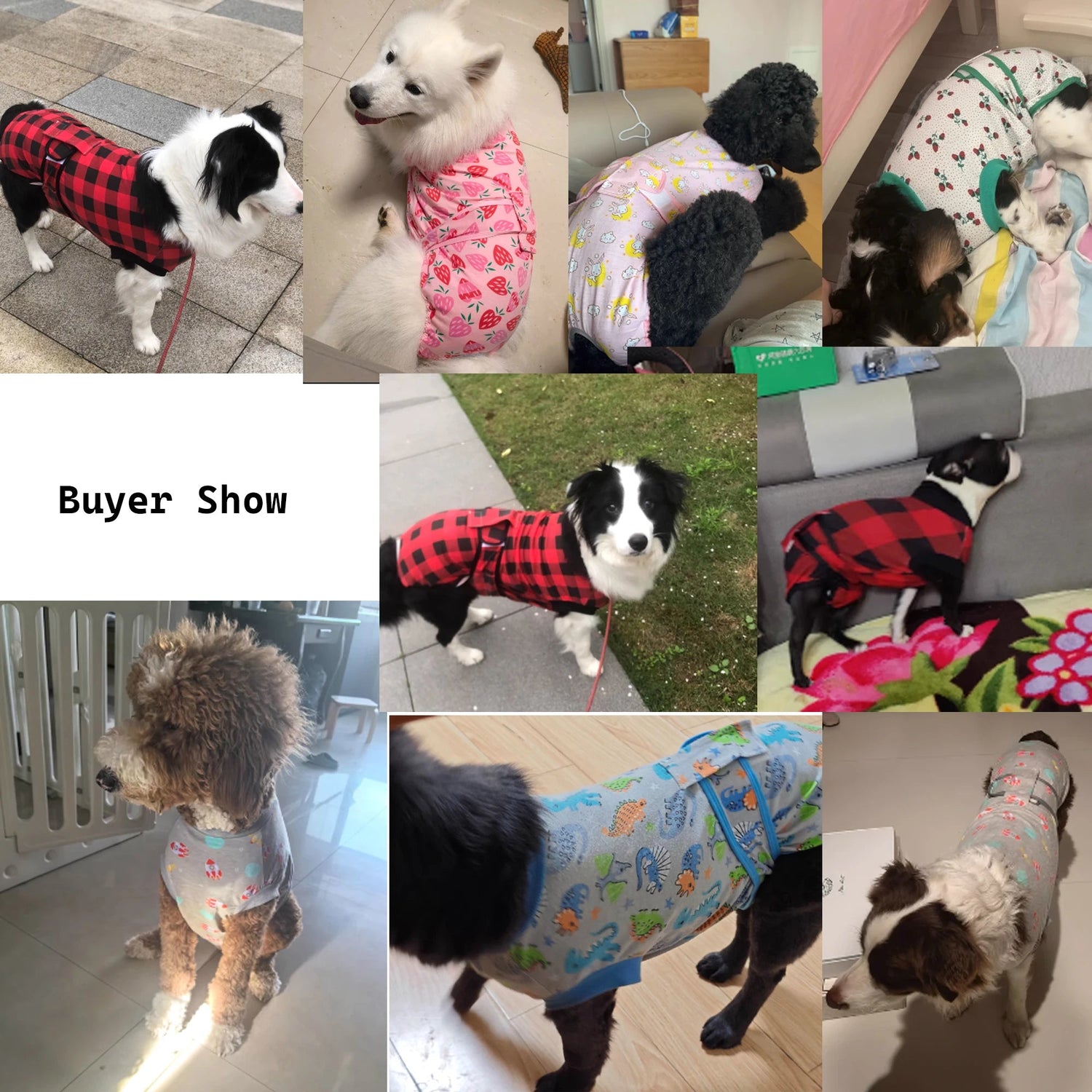 Dog Surgery Recovery Suit - PetLiveliest - PetLiveliest
