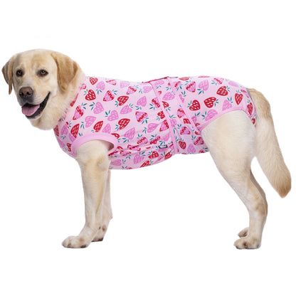 Dog Surgery Recovery Suit - PetLiveliest - PetLiveliest
