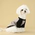 Multicolored Dog Shirt - PetLiveliest - PetLiveliest