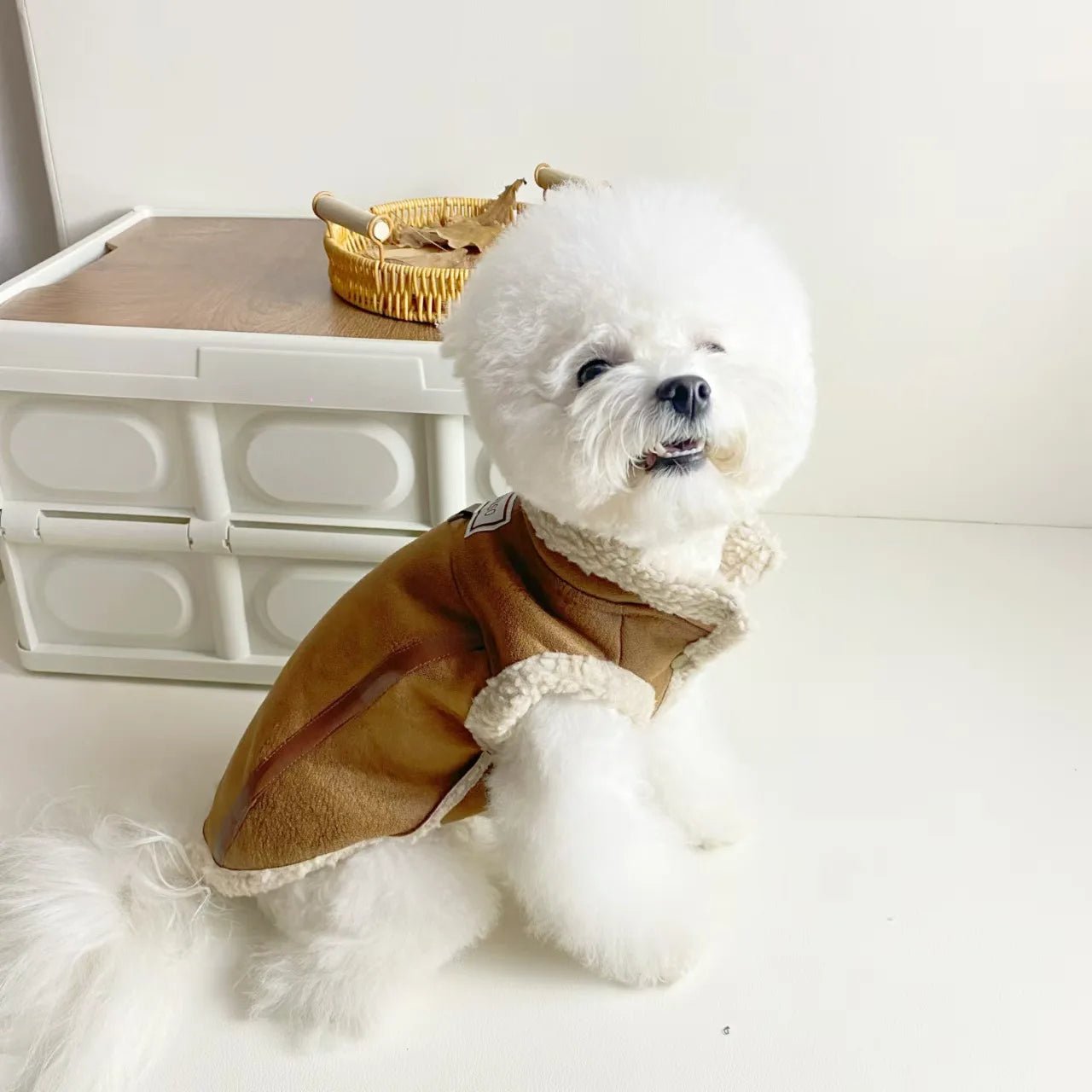 Velvet Sleeveless Pet Vest - PetLiveliest - PetLiveliest