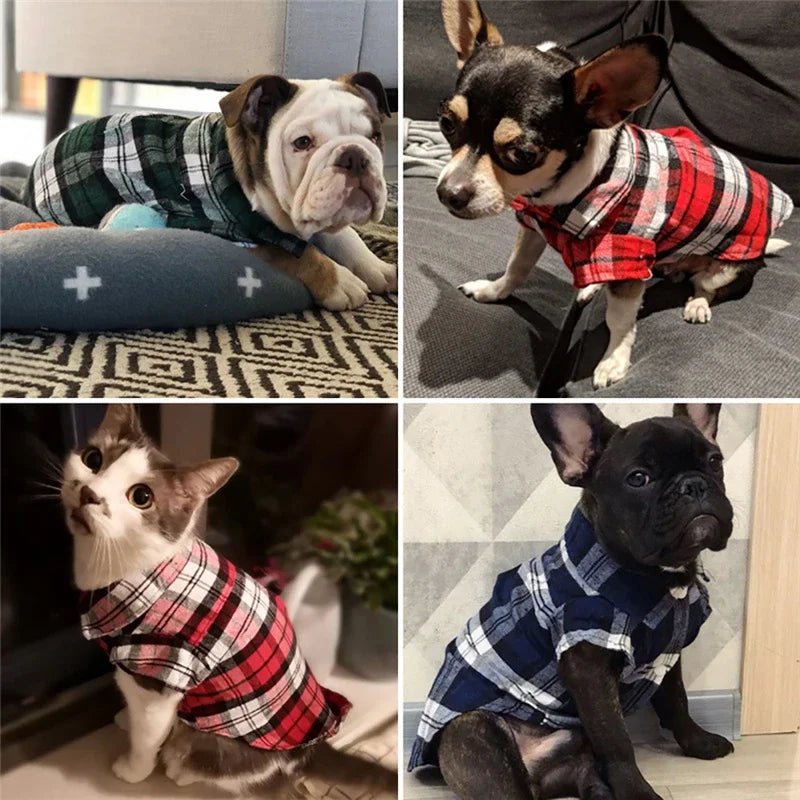 Plaid Dog Shirt - Summer Style for Small Pets - PetLiveliest - PetLiveliest