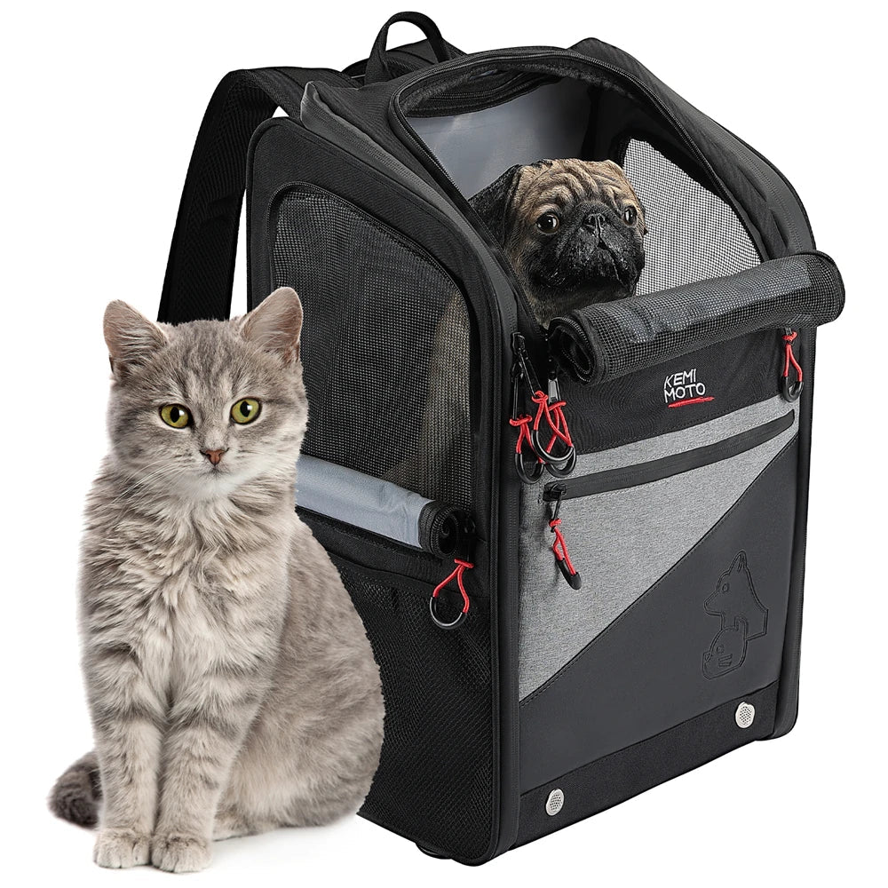 Portable Motorcycle Dog/Cat Carrier Bag 44L - PetLiveliest - PetLiveliest