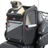 Portable Motorcycle Dog/Cat Carrier Bag 44L - PetLiveliest - PetLiveliest
