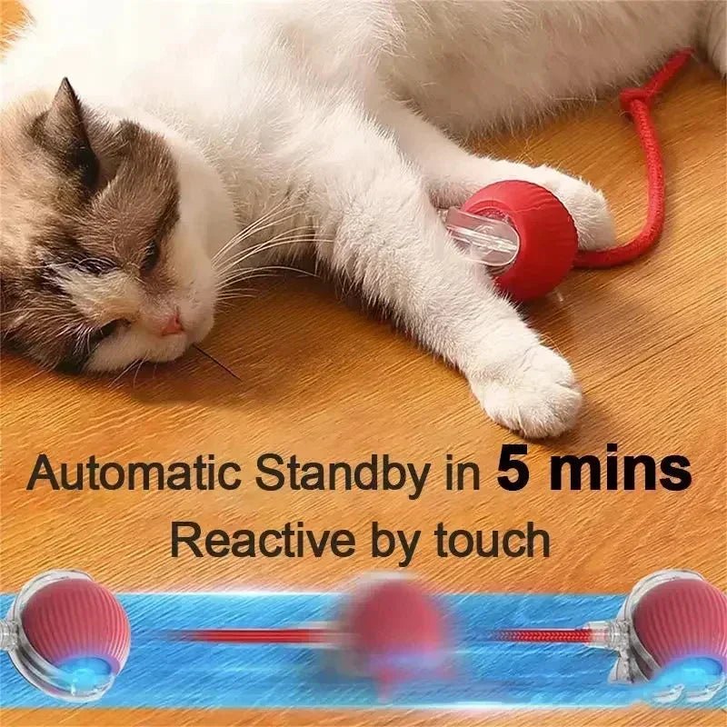 Smart Rechargeable Dog Ball Toy - PetLiveliest - PetLiveliest