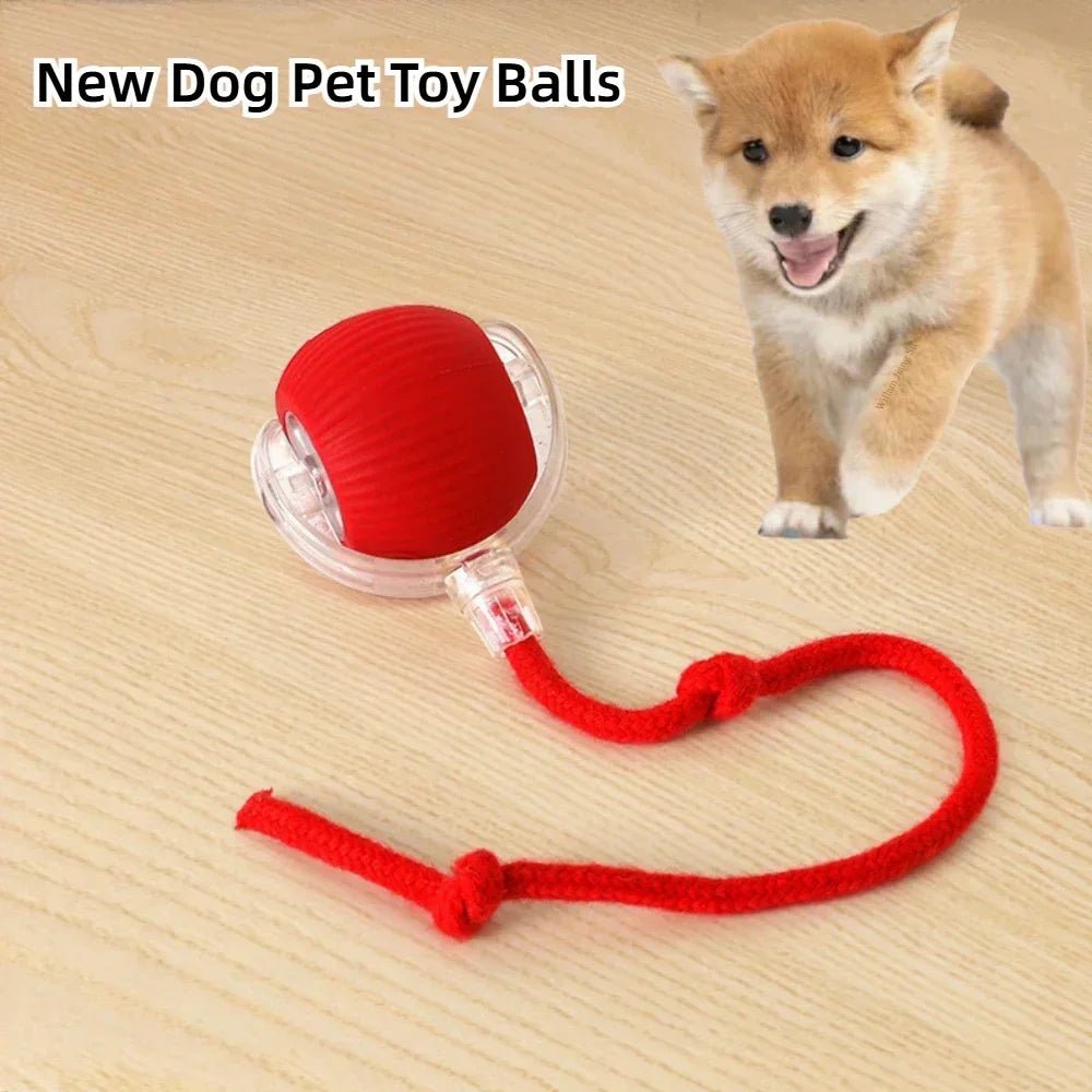 Smart Rechargeable Dog Ball Toy - PetLiveliest - PetLiveliest