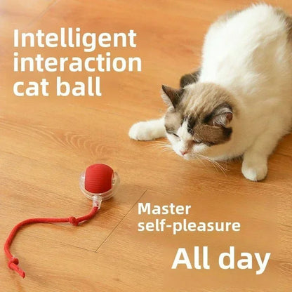 Smart Rechargeable Dog Ball Toy - PetLiveliest - PetLiveliest