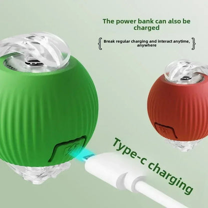 Smart Rechargeable Dog Ball Toy - PetLiveliest - PetLiveliest
