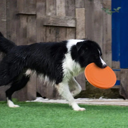 Silicone Flying Disc for Dogs - PetLiveliest - PetLiveliest