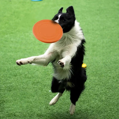 Silicone Flying Disc for Dogs - PetLiveliest - PetLiveliest