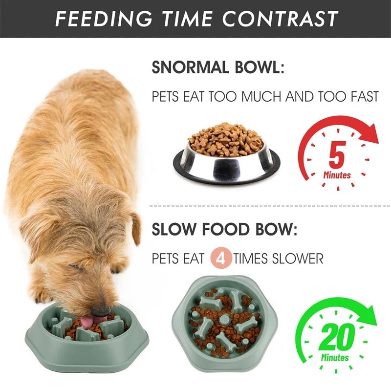 Slow Feeder Dog Bowl - Anti - Choking Puzzle Bowl - PetLiveliest - PetLiveliest