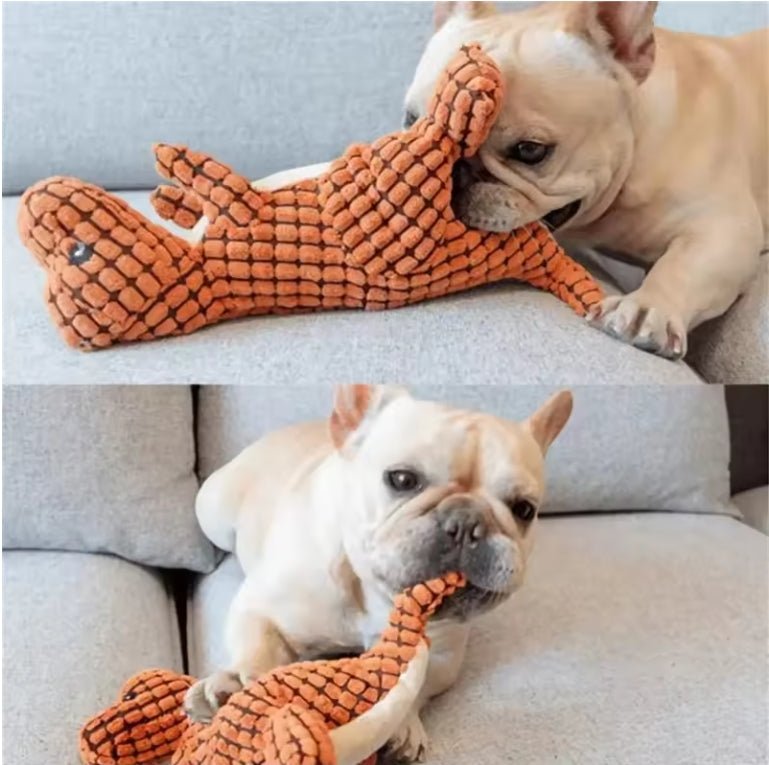 Squeaky Plush Dog Toy - PetLiveliest - PetLiveliest