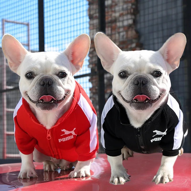 Stylish Baseball Dog Jacket for Winter Wear - PetLiveliest - PetLiveliest