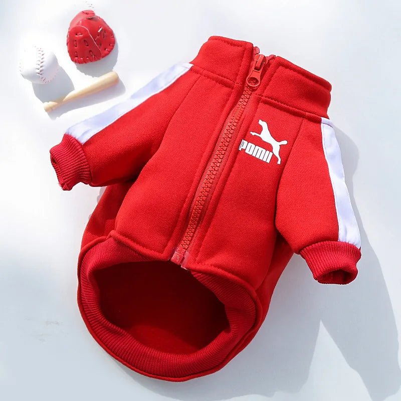 Stylish Baseball Dog Jacket for Winter Wear - PetLiveliest - PetLiveliest