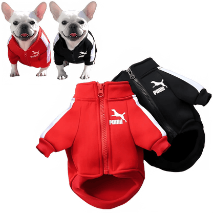 Stylish Baseball Dog Jacket for Winter Wear - PetLiveliest - PetLiveliest