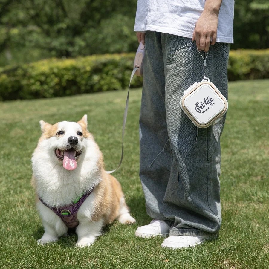 Thickened Folding Pet Bowls Outdoor Double Bowls Tableware Travel Feeder - PetLiveliest - PetLiveliest