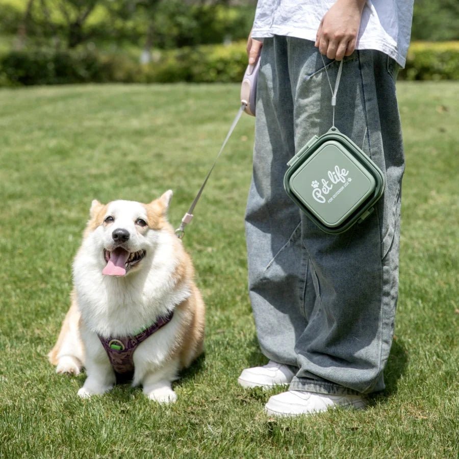 Thickened Folding Pet Bowls Outdoor Double Bowls Tableware Travel Feeder - PetLiveliest - PetLiveliest